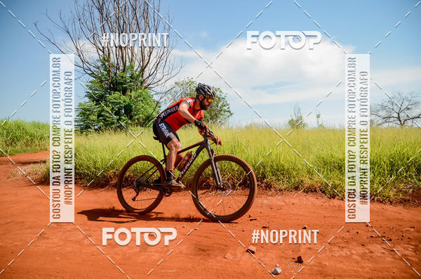 Buy your photos of the eventALIGA on Fotop