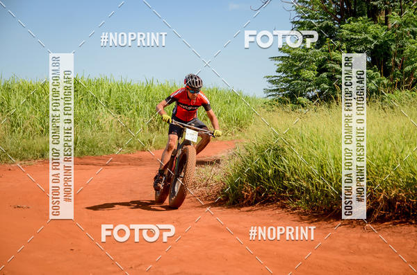 Buy your photos of the eventALIGA on Fotop