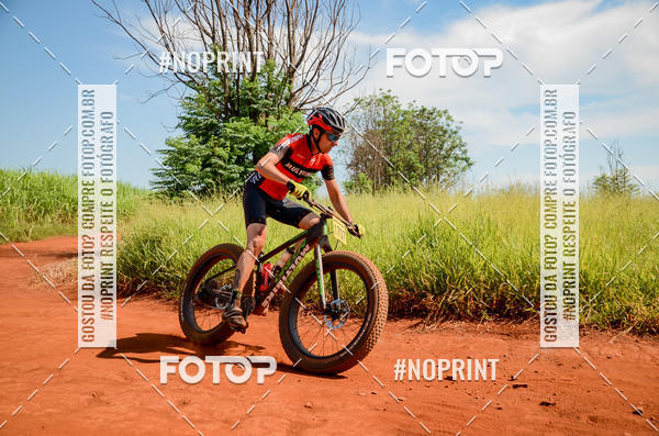 Buy your photos of the eventALIGA on Fotop