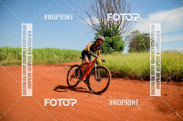 Buy your photos of the eventALIGA on Fotop