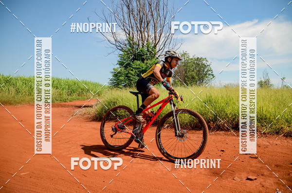 Buy your photos of the eventALIGA on Fotop