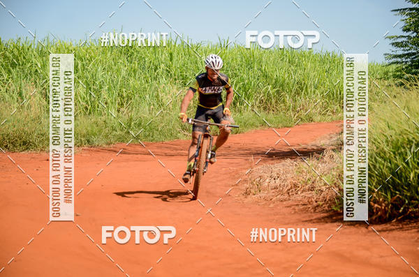 Buy your photos of the eventALIGA on Fotop