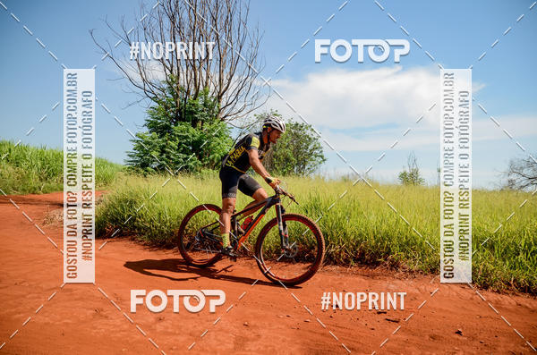 Buy your photos of the eventALIGA on Fotop