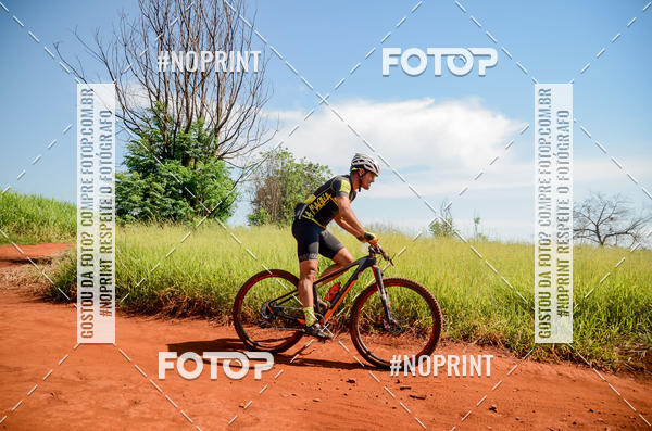 Buy your photos of the eventALIGA on Fotop