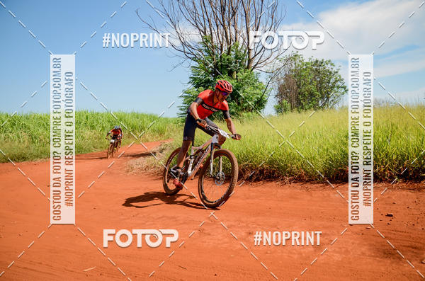 Buy your photos of the eventALIGA on Fotop