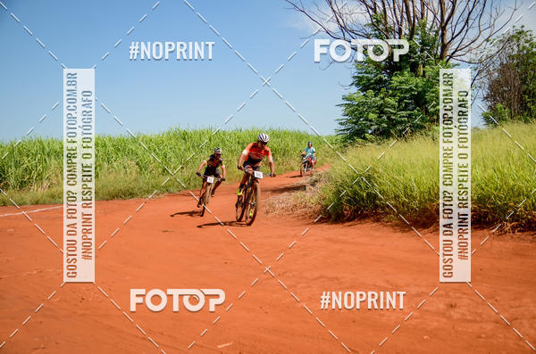 Buy your photos of the eventALIGA on Fotop