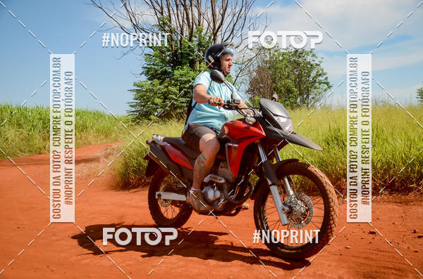 Buy your photos of the eventALIGA on Fotop