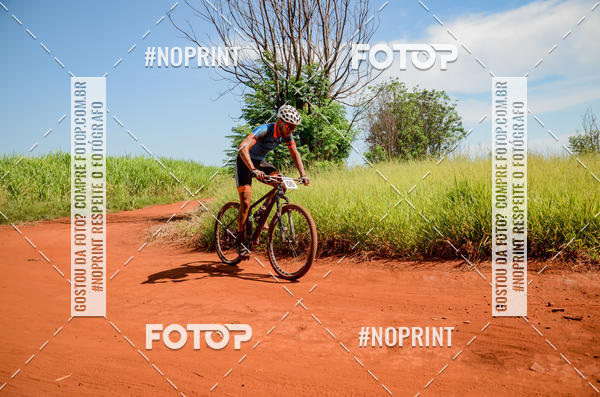 Buy your photos of the eventALIGA on Fotop