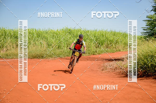 Buy your photos of the eventALIGA on Fotop