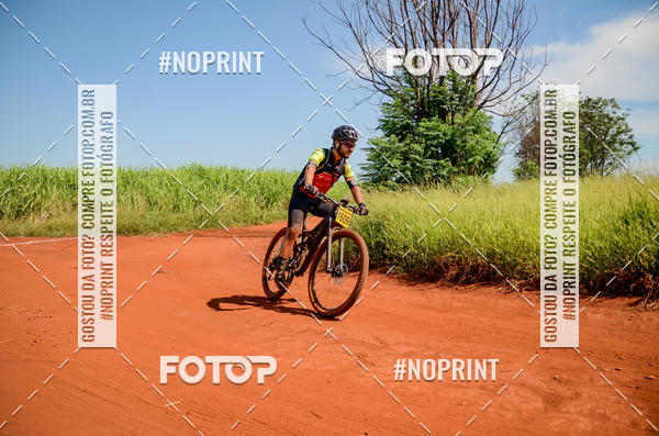 Buy your photos of the eventALIGA on Fotop