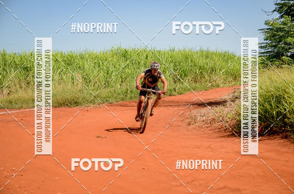 Buy your photos of the eventALIGA on Fotop