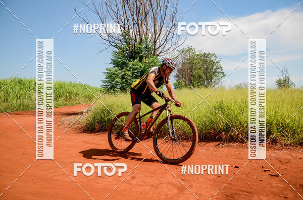 Buy your photos of the eventALIGA on Fotop