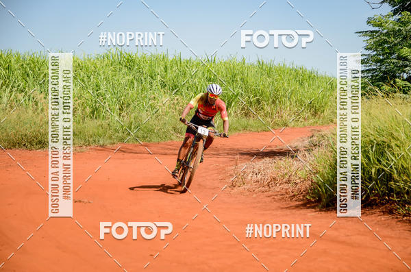 Buy your photos of the eventALIGA on Fotop