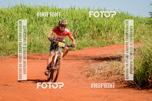 Buy your photos of the eventALIGA on Fotop