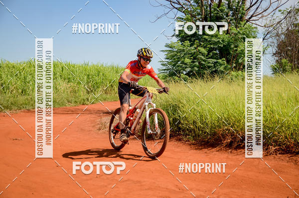 Buy your photos of the eventALIGA on Fotop