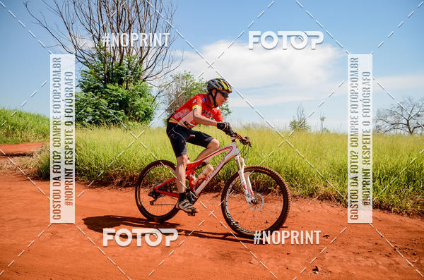 Buy your photos of the eventALIGA on Fotop