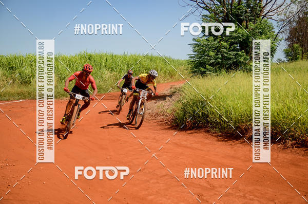 Buy your photos of the eventALIGA on Fotop