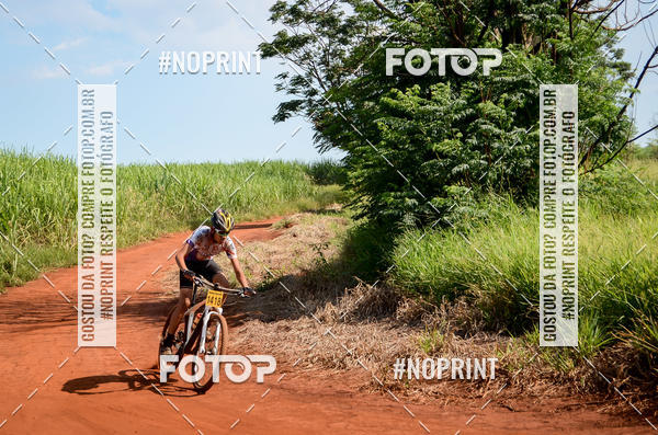 Buy your photos of the eventALIGA on Fotop