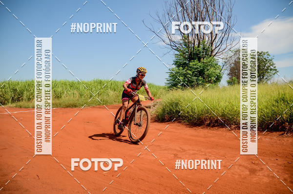 Buy your photos of the eventALIGA on Fotop