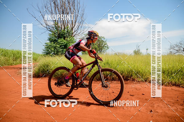 Buy your photos of the eventALIGA on Fotop