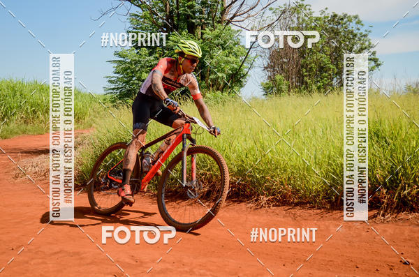 Buy your photos of the eventALIGA on Fotop