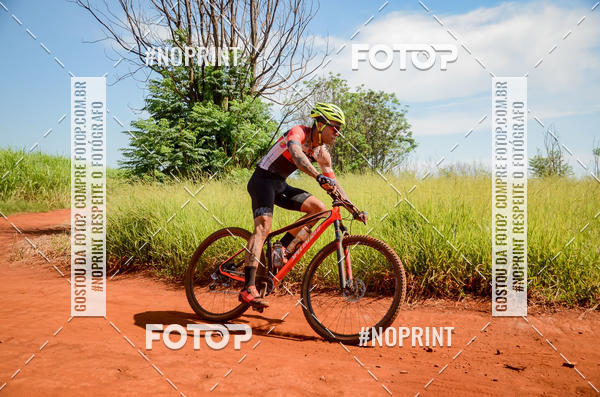 Buy your photos of the eventALIGA on Fotop