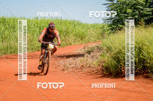 Buy your photos of the eventALIGA on Fotop