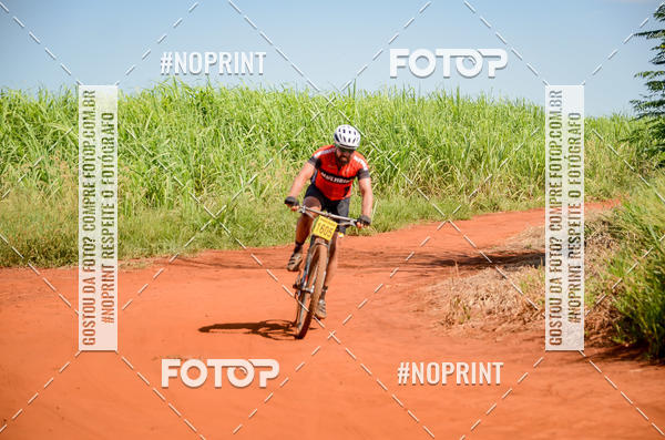 Buy your photos of the eventALIGA on Fotop