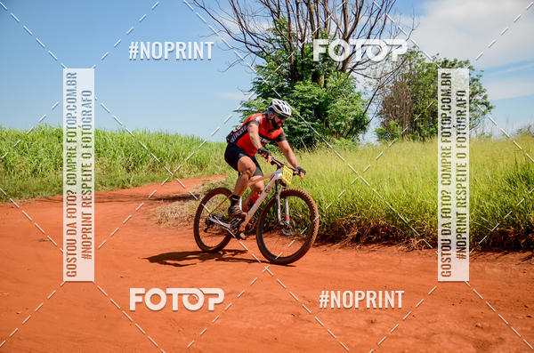 Buy your photos of the eventALIGA on Fotop