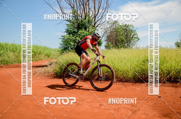 Buy your photos of the eventALIGA on Fotop