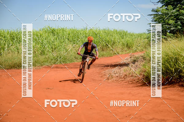 Buy your photos of the eventALIGA on Fotop