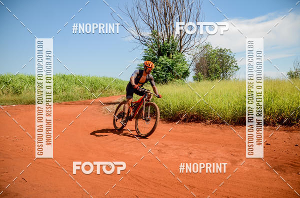 Buy your photos of the eventALIGA on Fotop