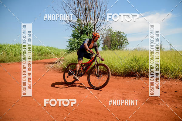 Buy your photos of the eventALIGA on Fotop