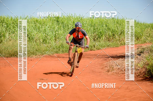 Buy your photos of the eventALIGA on Fotop