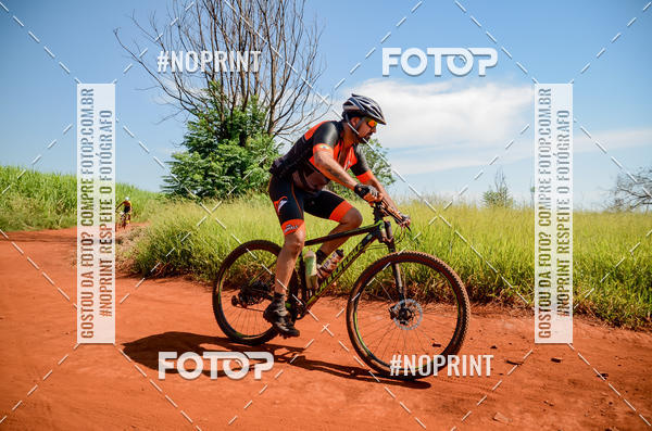 Buy your photos of the eventALIGA on Fotop