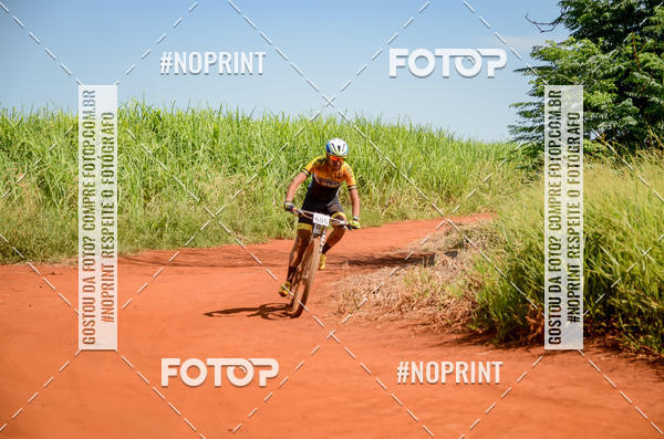 Buy your photos of the eventALIGA on Fotop