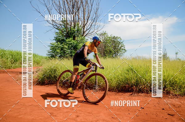 Buy your photos of the eventALIGA on Fotop