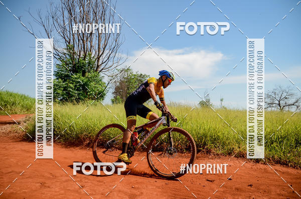 Buy your photos of the eventALIGA on Fotop