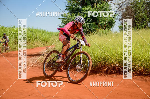 Buy your photos of the eventALIGA on Fotop