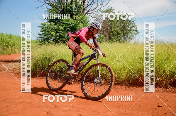 Buy your photos of the eventALIGA on Fotop