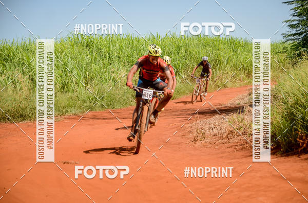 Buy your photos of the eventALIGA on Fotop