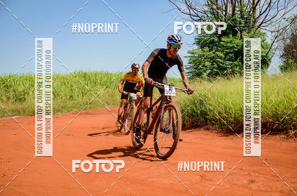 Buy your photos of the eventALIGA on Fotop