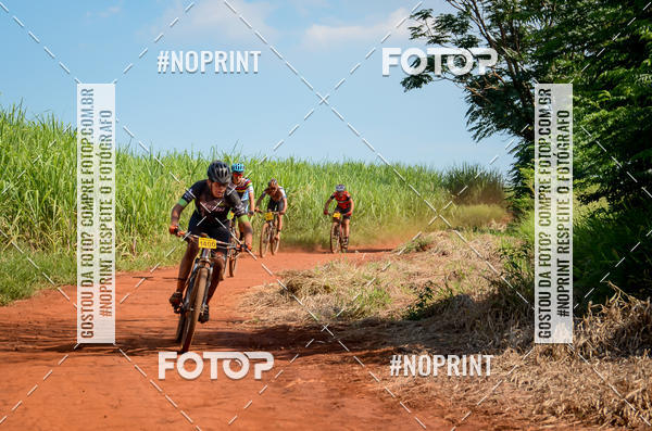 Buy your photos of the eventALIGA on Fotop