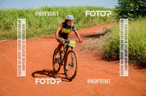 Buy your photos of the eventALIGA on Fotop