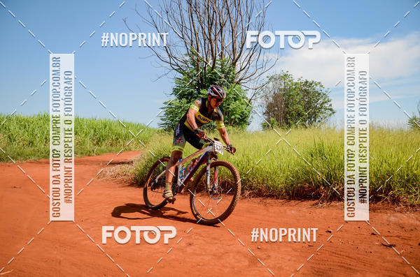 Buy your photos of the eventALIGA on Fotop