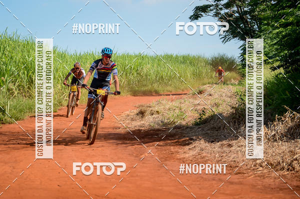 Buy your photos of the eventALIGA on Fotop