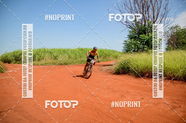 Buy your photos of the eventALIGA on Fotop