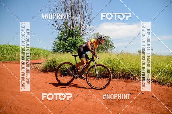 Buy your photos of the eventALIGA on Fotop