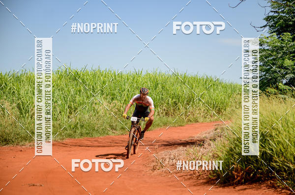 Buy your photos of the eventALIGA on Fotop