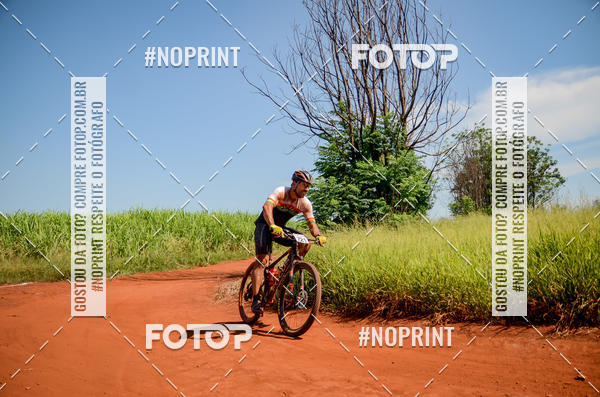 Buy your photos of the eventALIGA on Fotop